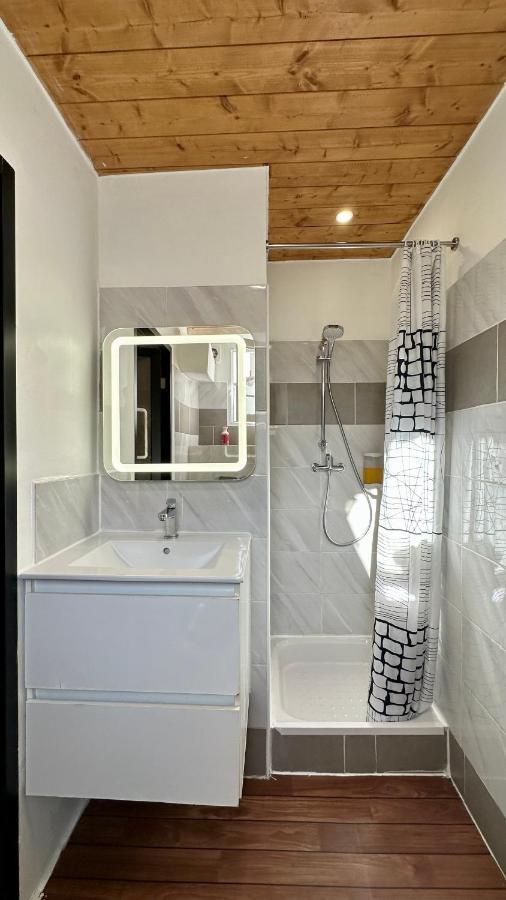 Lion'S Room - 2 Minute Walk From Palais Des Festivals And Beaches Cannes Buitenkant foto